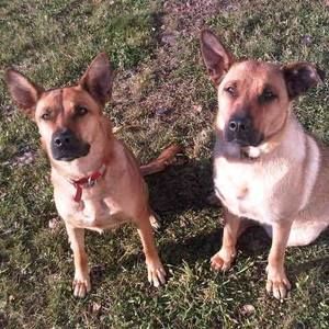 Meet your Posher, Donna